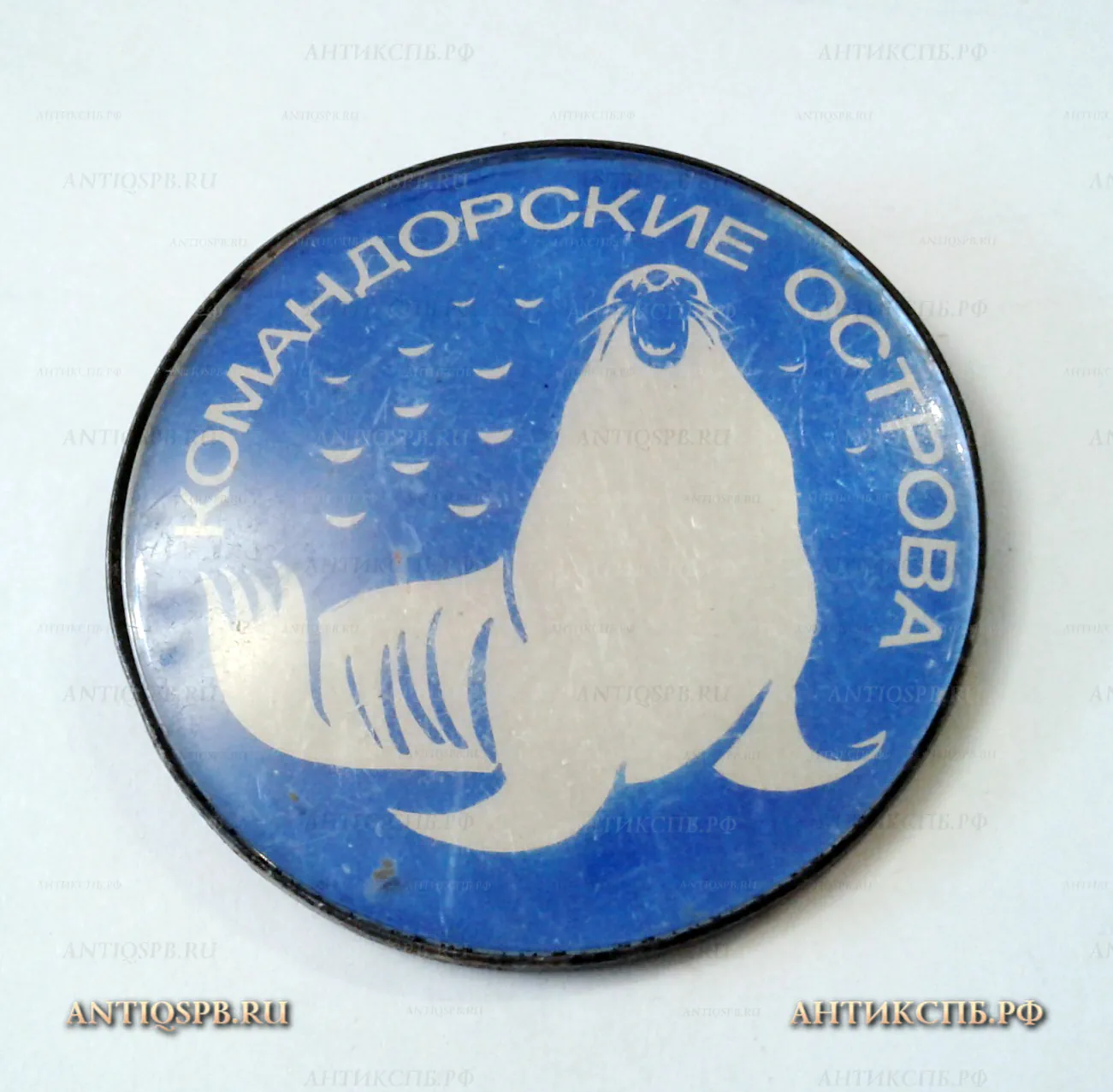 Значок "Командорские острова" Морж Туризм СССР  Вт. пол. ХХ века №2034